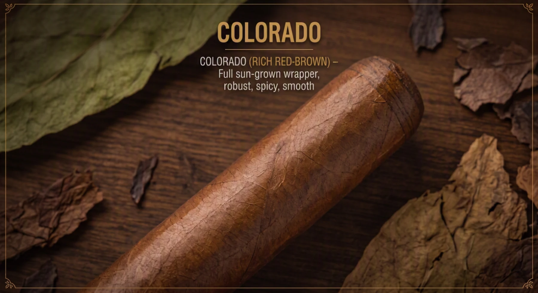 A cigar with a rich reddish-brown colorado wrapper with an oily sheen on dark wood.