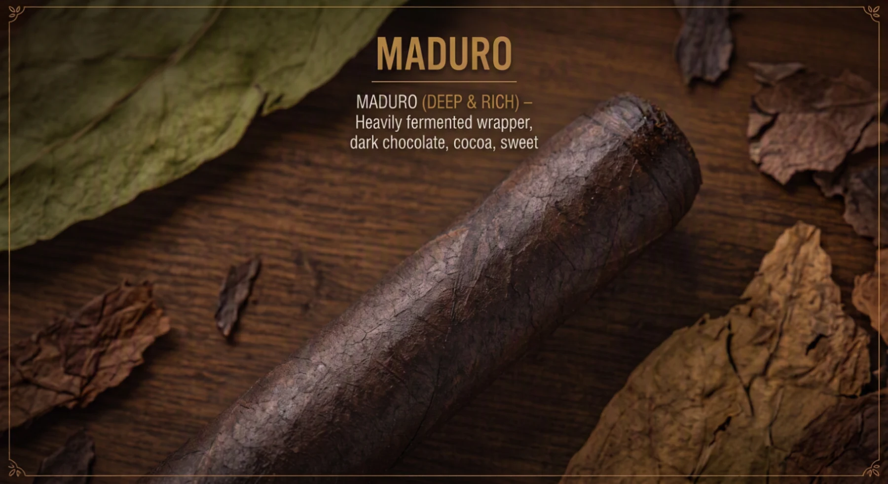 A cigar with a deep, dark chocolate-brown oily maduro wrapper on dark wood.