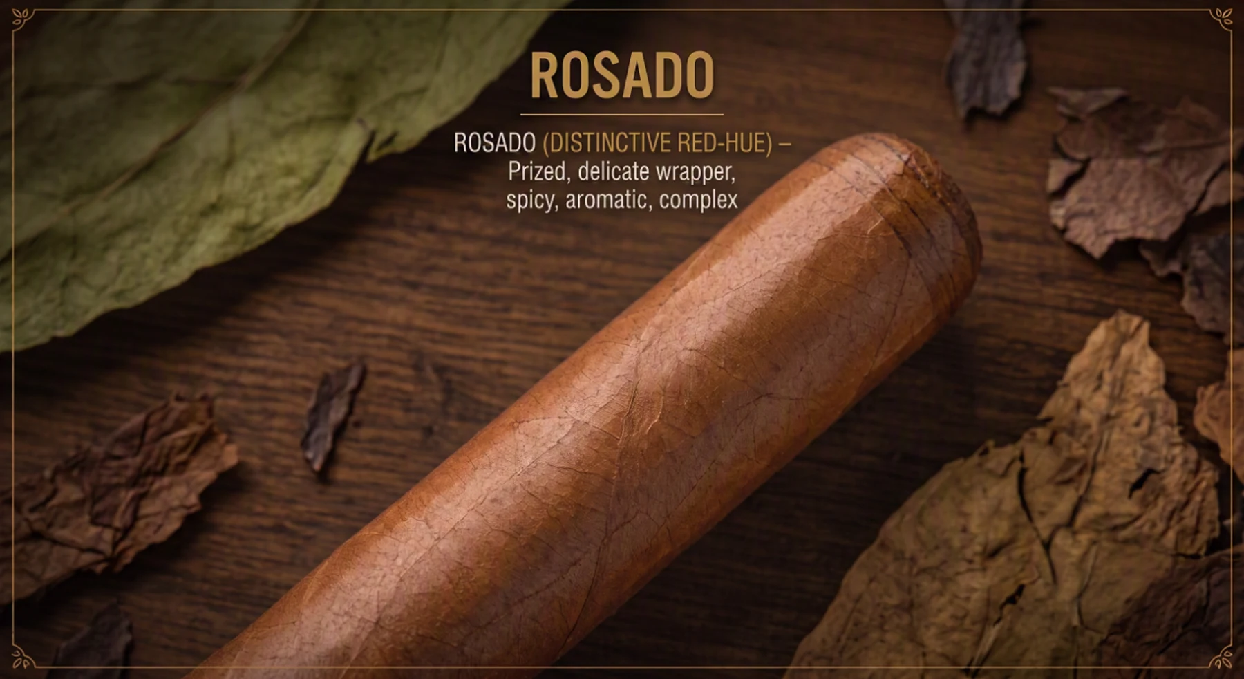 A cigar with a lustrous rosy, reddish-mahogany rosado wrapper on dark wood.